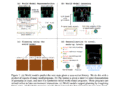 PoE-World + Planner Outperforms Reinforcement Learning RL Baselines in Montezuma’s Revenge with Minimal Demonstration Data